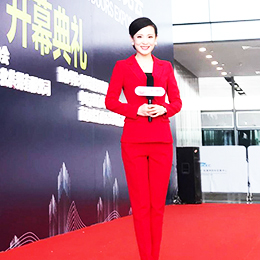 專業主持人,專業司儀