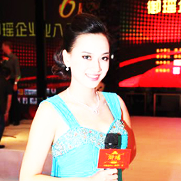 �ҕ�_������,�ҕ�_˾�x