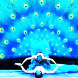 ���轛�o��˾