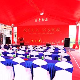 慶典儀式策劃,慶典活動策劃,廣東,廣州,從化