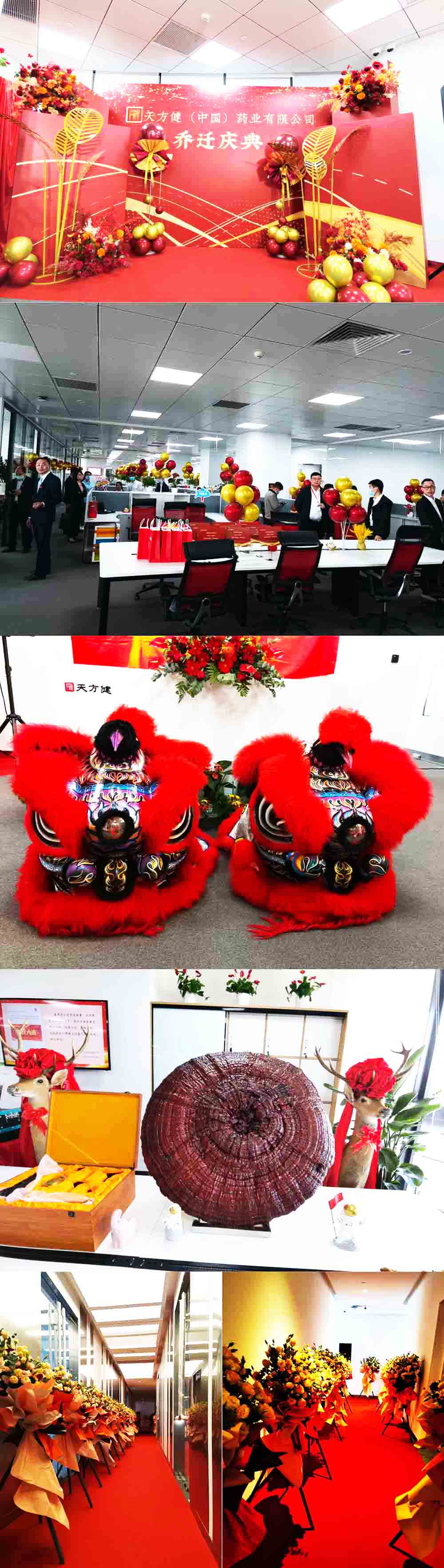 ���w�xʽ��Ӳ߄��������\