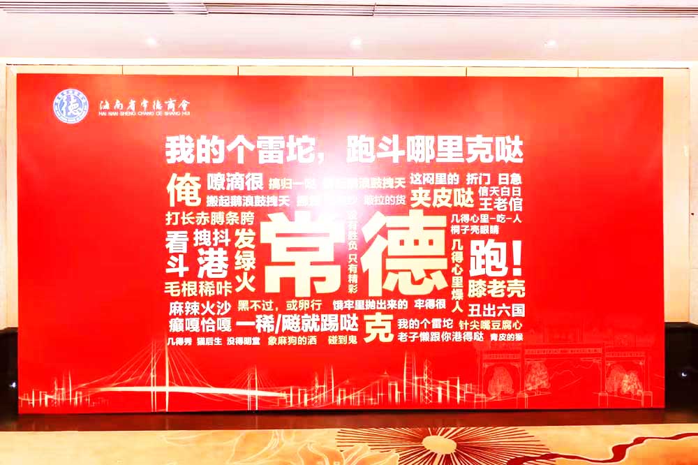海口市活動策劃公司提供的海南省常德商會慶典會議案例賞析3